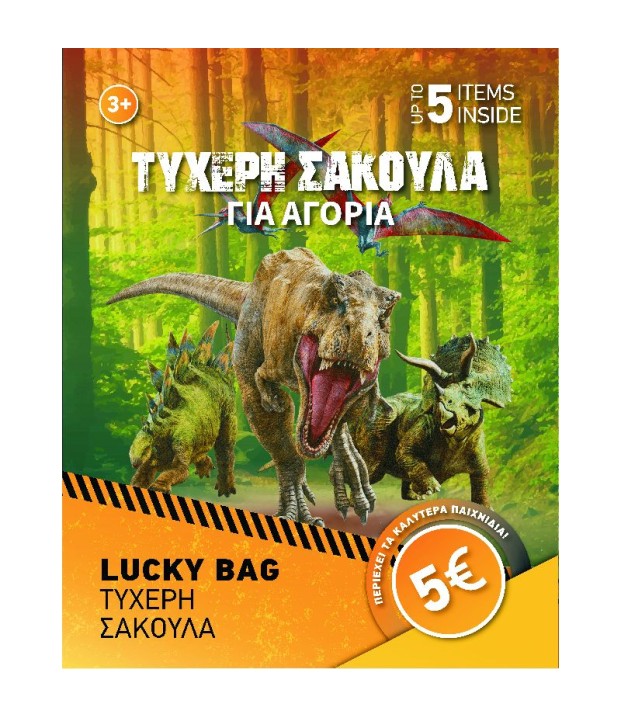 ΤΥΧΕΡΗ ΣΑΚ ΑΓΟΡΙ TOYS (5 ΕΥΡΩ)