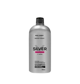 ΣΑΜΠΟΥΑΝ SILVER 750 ml